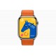 Умные часы Apple Watch Hermès Series 9 GPS + Cellular 45mm Stainless Steel Case with Orange/Kaki Twill Jump Single Tour