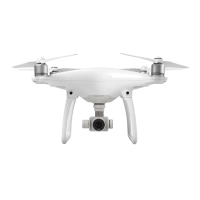 Квадрокоптеры DJI 2025 — премиальные дроны для съёмки и FPV Квадрокоптеры DJI 2025 — премиальные дроны для съёмки и FPV