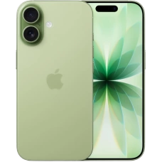 Apple iPhone 17 256Gb Sage (зеленый) (nano SIM+eSIM)